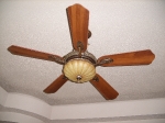 Nice ceiling fan