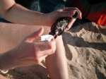 Message in a bottle