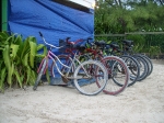 stp88393