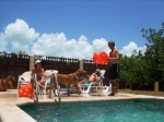 Pool party