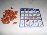 Bingo