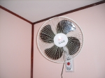 Did not need fan