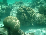 Mexico Rocks Area