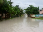 River Roads