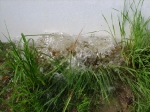 Strange bubbeling water