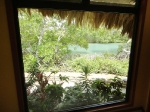 What a great view