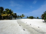 Gorgeous Belize beach