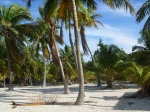 Sanbore Caye Belize