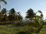 Sanbore Caye Belize