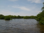Touring Northern Caye lagoon