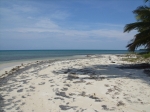 Beach at Northern Caye
