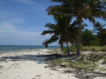 Beach at Northern Caye