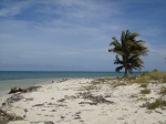 Beach at Northern Caye
