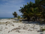 Beach at Northern Caye