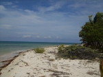 Beach at Northern Caye