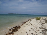 Beach at Northern Caye