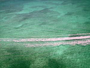 caribbean sea