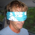 Pedros inn