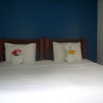 pedro's rooms pedro's rooms