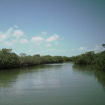 ambergris caye belize