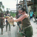 Chicken Drop Belize
