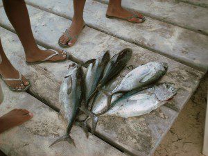 Dia de San Pedro fishing tournament 2009