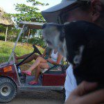 ambergris caye belize