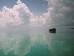peaceful