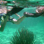 Snorkeling Snorkeling