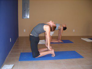 Vinyasa flow yoga Vinyasa flow yoga