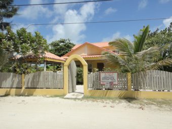 Healthy Belize Organic Produce