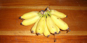 My simple pleasure - bananas off the tree in our yard
