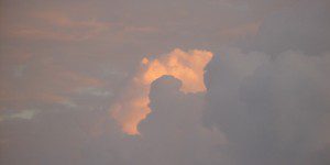 What do you see?
