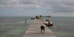 Dock walk Dock walk