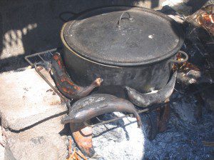 Luch at Goffs Caye - Carbunkle Trumpet