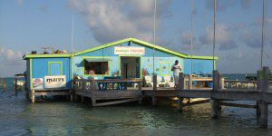 Ecologic Dive shop and Catamaran trips Ecologic Dive shop and Catamaran trips