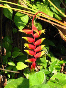 Private Tour of Belize