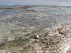 Belize's Best Kept Secret Belize's Best Kept Secret
