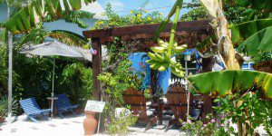 Changes in Latitudes Bed and Breakfast Changes in Latitudes Bed and Breakfast Belize