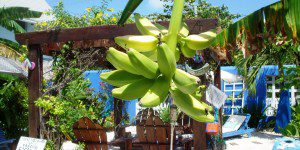 Changes in Latitudes Changes in Latitudes Bed and Breakfast