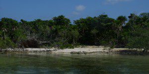 West side Ambergris Caye