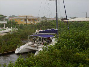 Seaduced Catamaran