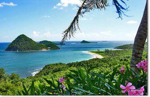 Caribe Pro