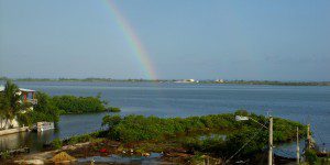 Rainbow ending near mangroves at the end of our street Ambergris Caye Weather