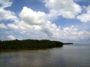 Blue skies Ambergris Caye Belize