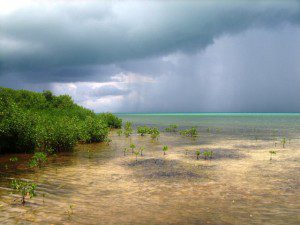 Rain clouds came in fast Ambergris Caye Belize