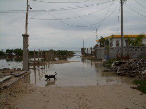 Puddle towards the lagoon near the end of our road Tropical Storm Matthew
