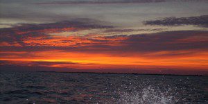 Sandbore Caye Belize