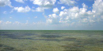 Belize Beaches