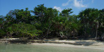San Pedro Belize Beaches